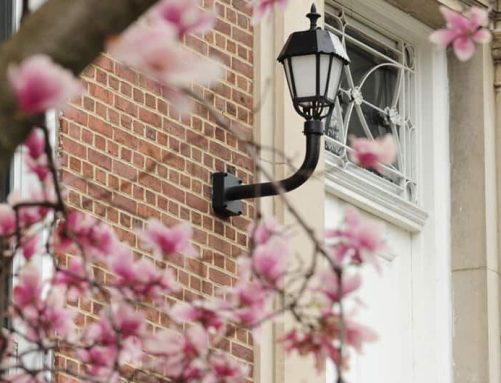 Building exterior with flowering tree