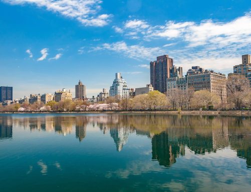 new york city